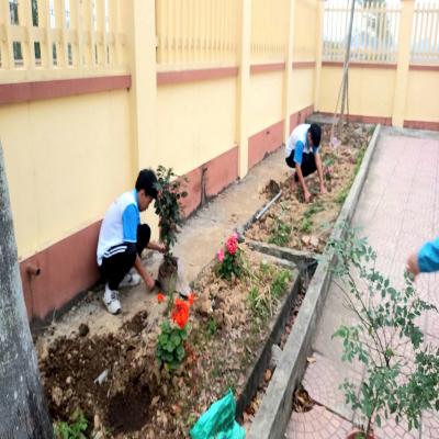 ĐƯỜNG AN: LIÊN ĐỘI TIỂU HỌC & THCS THÁI MINH TRIỂN KHAI CÔNG TRÌNH MĂNG NON “TRƯỜNG EM XANH”